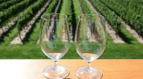 Route des Vins